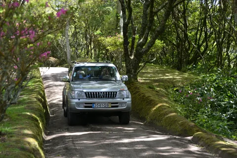 Ponta Delgada: Half-Day 4x4 Sete Cidades Trip