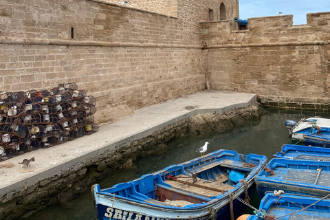 Day trip to Essaouira