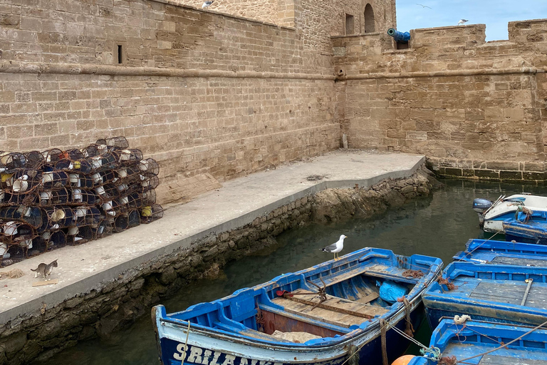 Escursione di un giorno a Essaouira