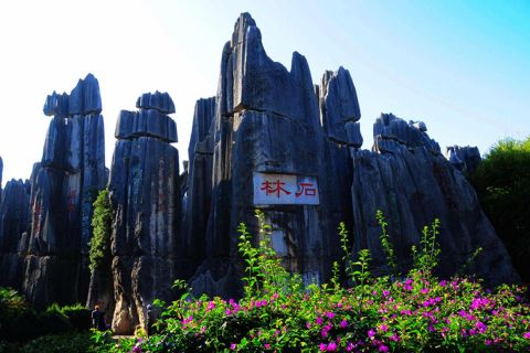 Jour Kunming Voyage à Stone Forest et le monastère Yuantong