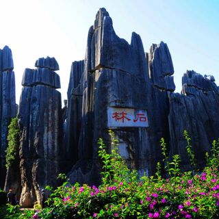 Куньминская поездка в Каменный лес и монастырь Юаньтун