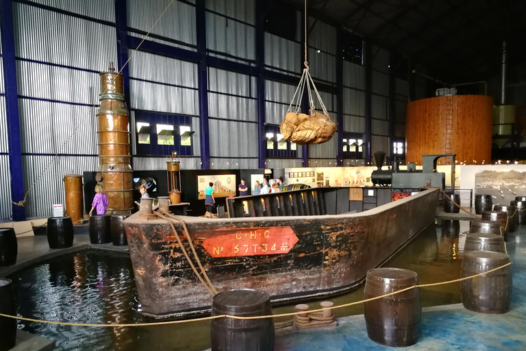 Mauritius - wycieczka prywatna na północ