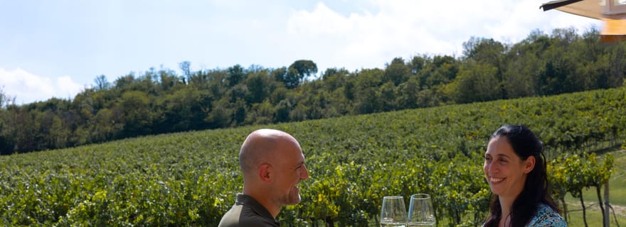 Huile d'olive et vin dans les collines euganéennes depuis Abano Terme