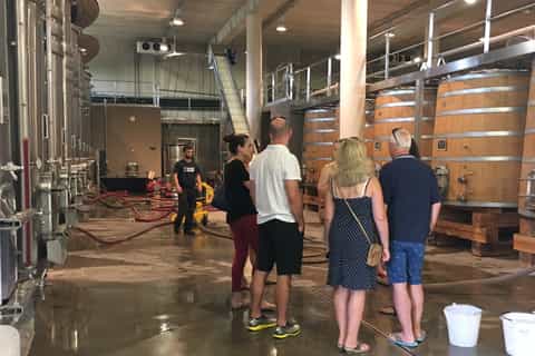 From Montpellier: Half-Day Vineyard & Pic Saint-Loup Tour
