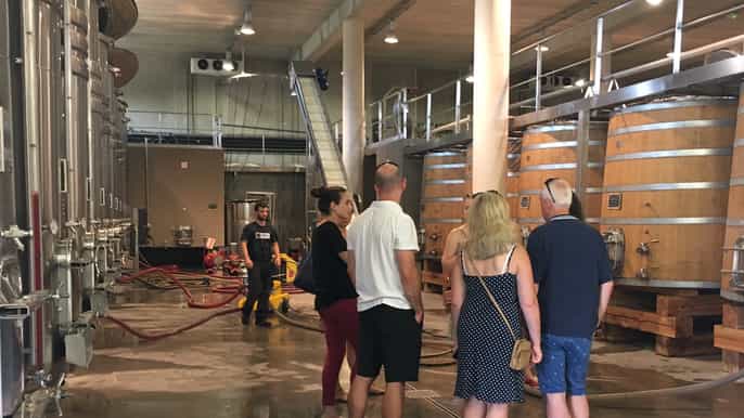 from montpellier halfday vineyard pic saintloup tour