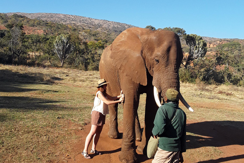 The Elephant and Monkey Sanctuary.