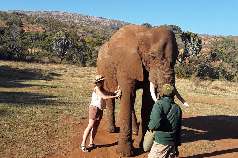The Elephant and Monkey Sanctuary.