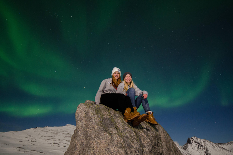 Tromsø: Northern Lights Chase by a comfortable bus