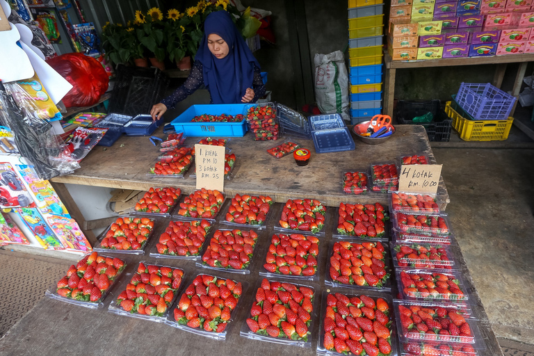 Visite à la journée des Cameron Highlands au départ de Kuala LumpurExcursion d'une journée dans les Cameron Highlands au départ de Kuala Lumpur