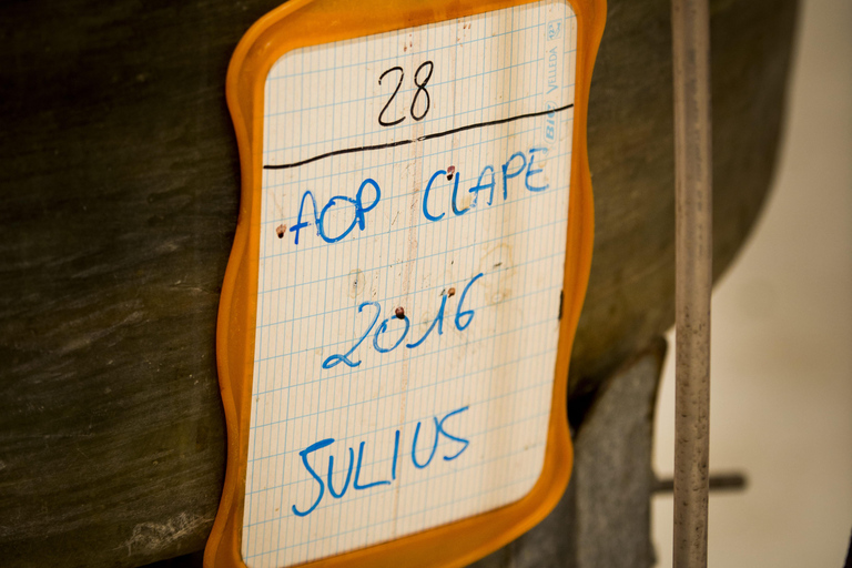 Full tour of the estate and wine tasting at Château Camplazens Visit Julius - Château Camplazens AOP La Clape