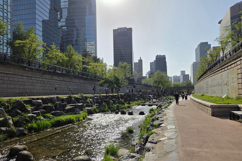Seoul: Guided Walking Tour for Seniors with Breaks