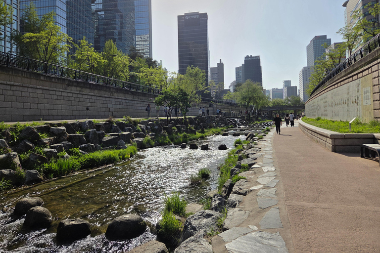 Seoul: Guided Walking Tour for Seniors with Breaks