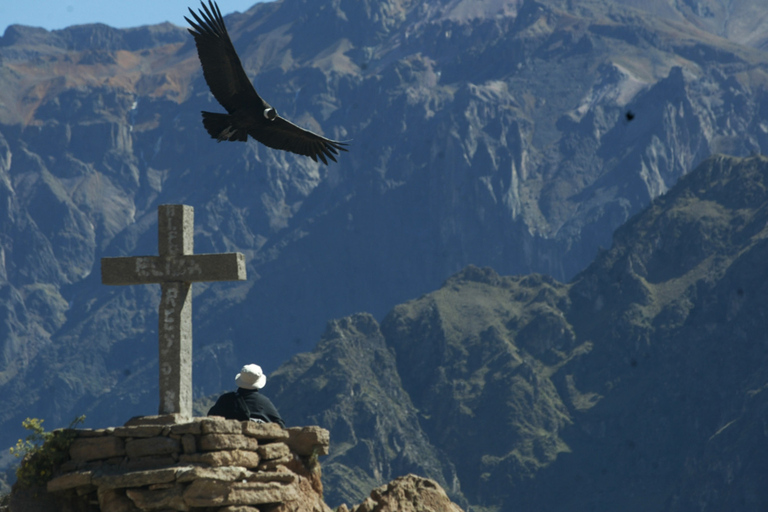 Tour de varios días por Arequipa y el Cañón del Colca