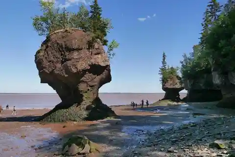Hopewell Cape: ingresso para Hopewell Rocks