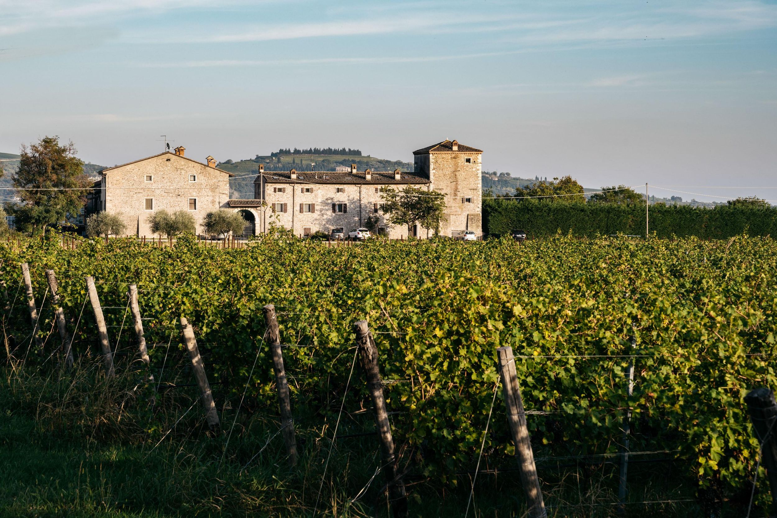 GARDASEE: WEINBERG- UND KELLERTOUREN
