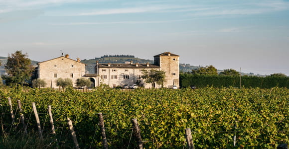 LAKE GARDA: VINEYARD AND WINERY TOUR