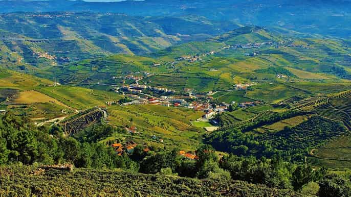 douro valley tour three vineyards lunch and river cruise