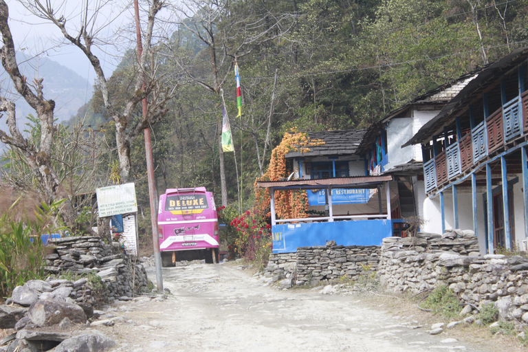 Découvrez la magie de Poon Hill : Un trek de 4 jours au départ de Pokhara