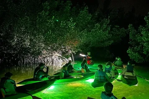 Sarasota: Glass Bottom Kayak Fish Feeding LED Night Tour