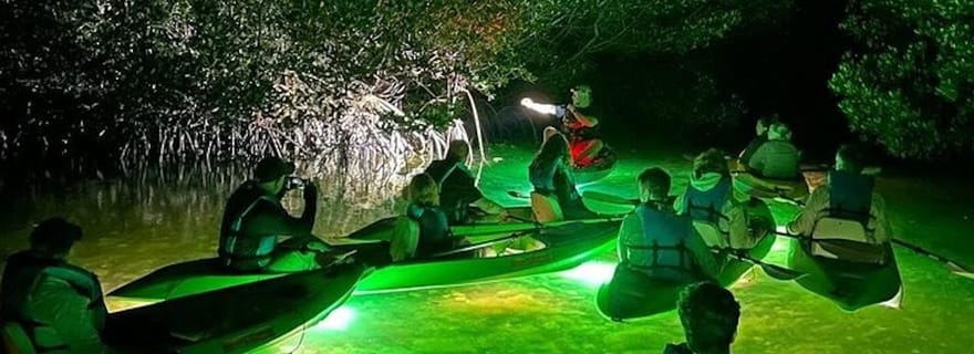 Sarasota : Kayak de fond en verre : visite nocturne à LED pour nourrir les poissons