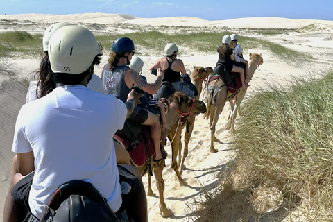 Hunter Valley Winery, Port Stephens Sand Dunes Adventures Winery Experience, Meet at Furama Darling Harbour