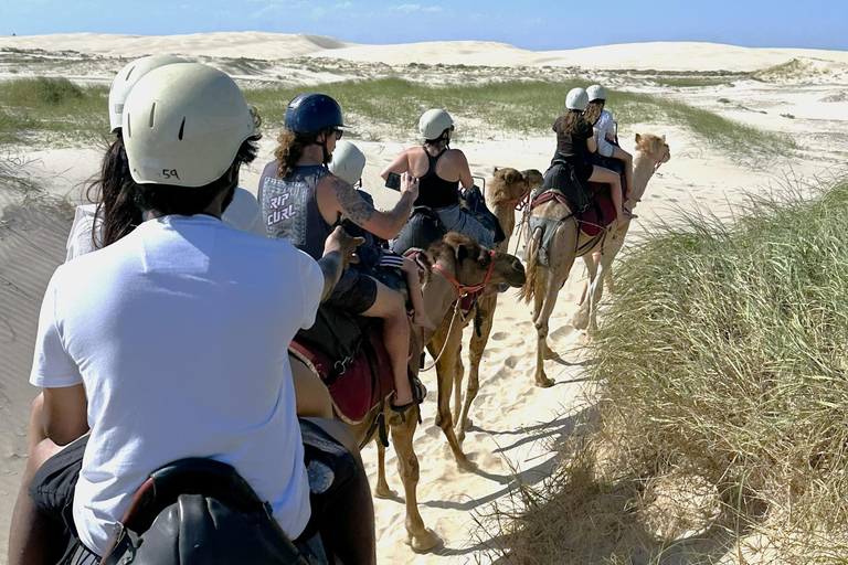 Hunter Valley Winery, Port Stephens Sand Dunes Adventures Winery Experience, Meet at Furama Darling Harbour