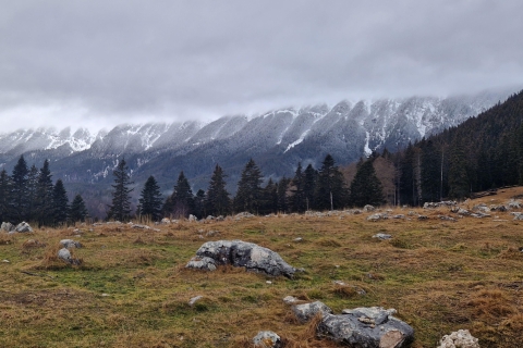 Desde Brasov: excursión privada de un día al parque nacional Piatra Craiului
