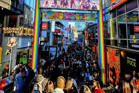 Tokyo: Private City Highlights Tour with Local Guide