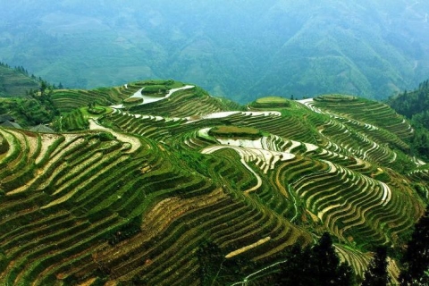 Von Guilin: Longsheng Drachen Backbone Reis-Terrassen