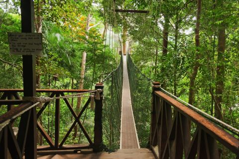 De Kuala Lumpur: Parque Nacional Taman Negara de dia inteiro