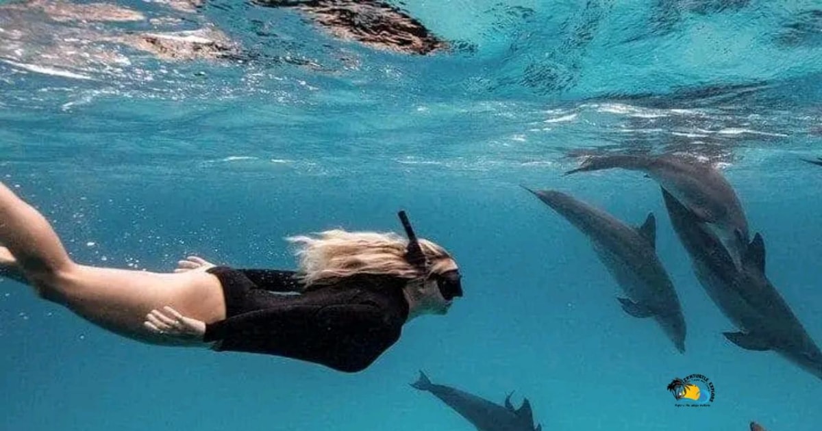 Sansibar: Schwimmen und Schnorcheln am Mnemba-Atoll mit Obst | GetYourGuide