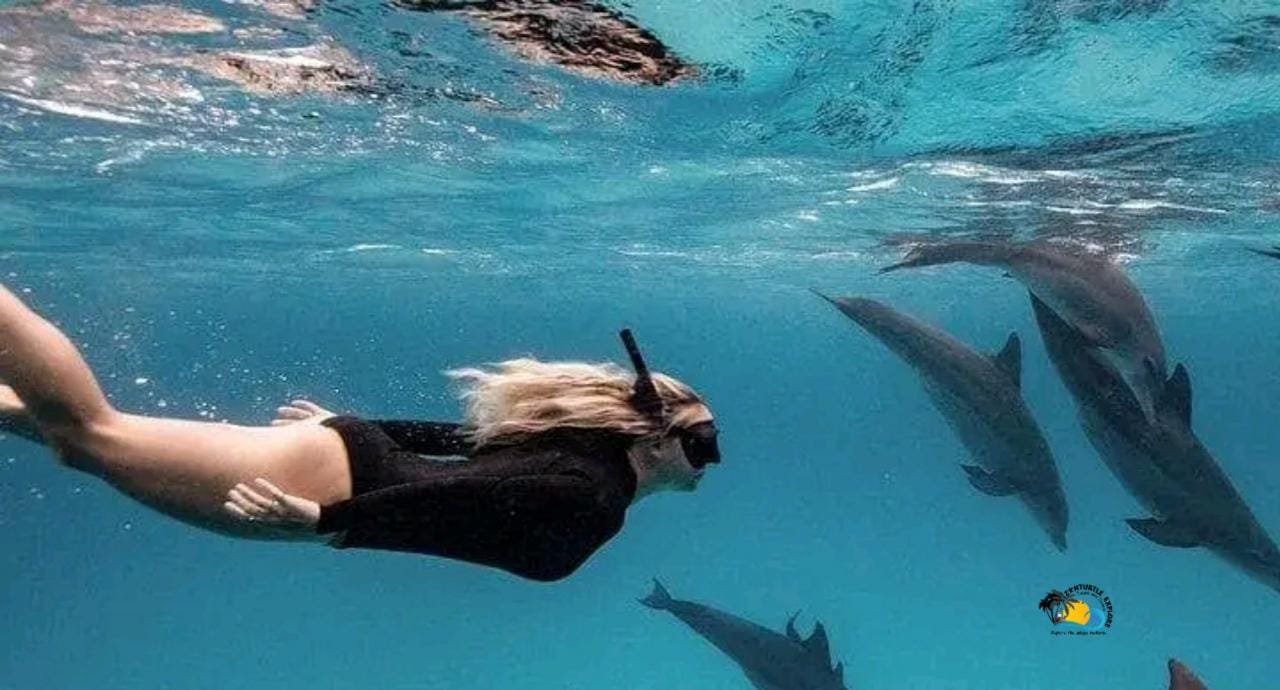 Sansibar: Schwimmen und Schnorcheln am Mnemba-Atoll mit Obst
