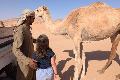 Wadi Rum Jeep Tour – Choose Duration, With or Without Stay 3-Hour Wadi Rum Jeep Tour