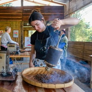 Chiang Mai: Off the Map Jungle Coffee Farm Trek Roast & Brew Chiang Mai: Off the Map Jungle Coffee Farm Trek Roast & Brew