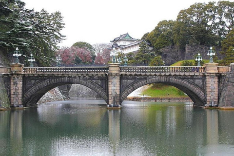 Tour privato di Tokyo di un giorno con guida in inglese