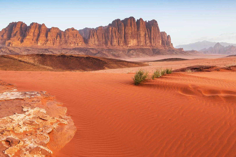 Wadi Rum: 8 Hours Full-Day 4x4 Jeep, Meals & Overnight Stay