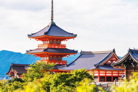 Kyoto/Osaka: Kyoto and Nara World Heritage Day Tour Trip from Kyoto Station 9:50AM