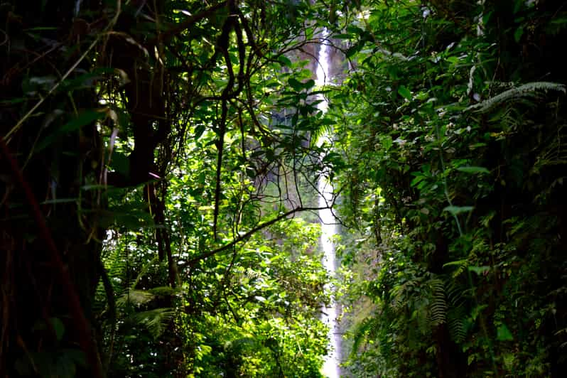 Arusha: Napuru Waterfalls | GetYourGuide