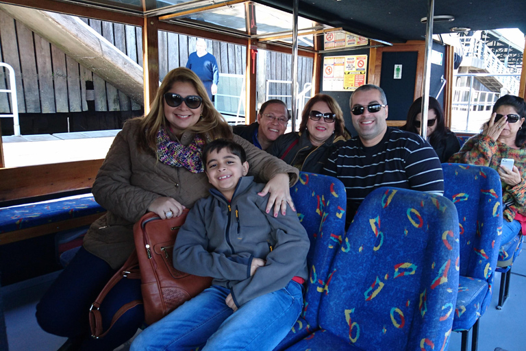 Buenos Aires: Classic Private Delta Tigre Boat Tour