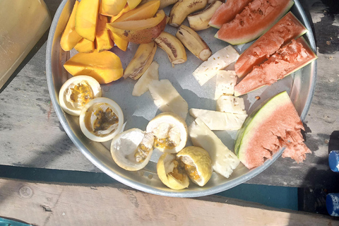 Mnemba Island Schwimmen mit Delfinen und Snokling