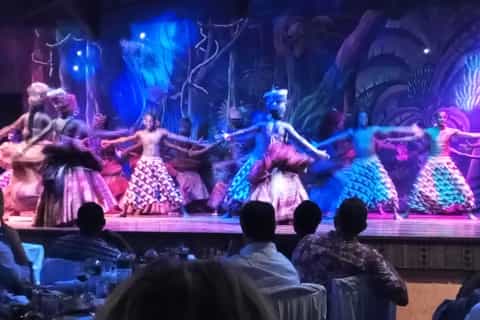 Nairobi: The Safari Cats Show Tickets & Buffet Dinner