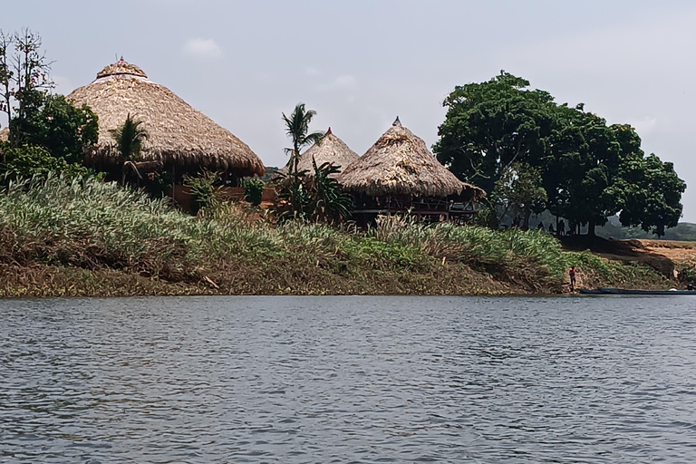 Panamá: Excursión al Pueblo EmberaPanamá: Excursión al Pueblo Embera Tusipono