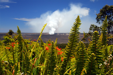 Depuis Oahu : Aventure en hélicoptère sur le volcan de Big IslandD'Oahu: aventure en hélicoptère sur le volcan Big Island