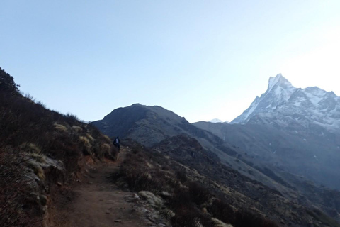 Pokhara: 5-dniowy trekking do bazy Mardi Himal z transferami