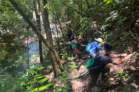Bach Ma National Park Trekking Full-Day Tour Private Tour (From Hoi An)