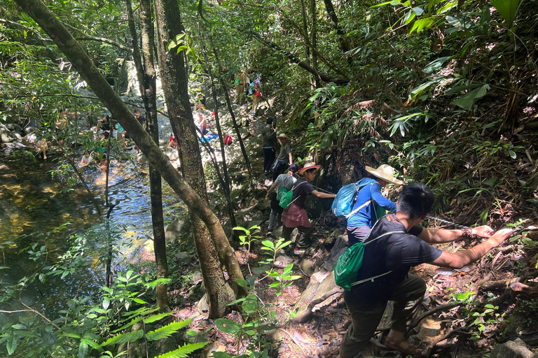 Bach Ma National Park Trekking Full-Day Tour Private Tour (From Hoi An)
