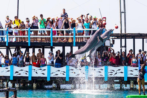 Cartagena: Excursion to the Rosario Islands and Playa Blanca with lunch