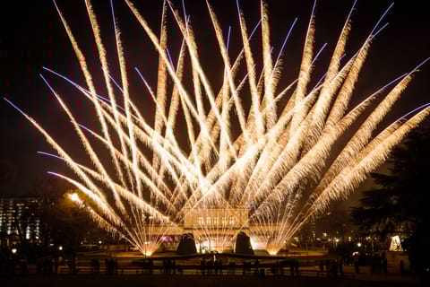 Vienna: Strauss & Mozart New Year's Concert
