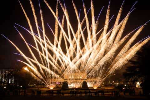 Vienna: Strauss & Mozart New Year's Concert