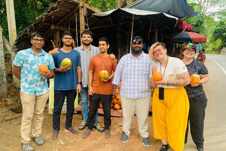 Kandy Day tour With Tea Factory from Colombo